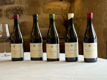 como salvar las vinas viejas en tiempos de crisis del vino como salvar las vinas viejas en tiempos de crisis del vino