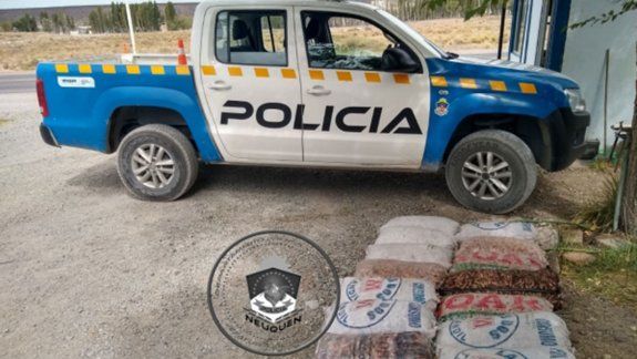 Decomisaron casi 100 kilos de piñones en Zapala