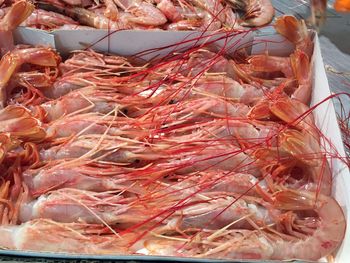 prorrogan restricciones para la pesca de merluza y langostino