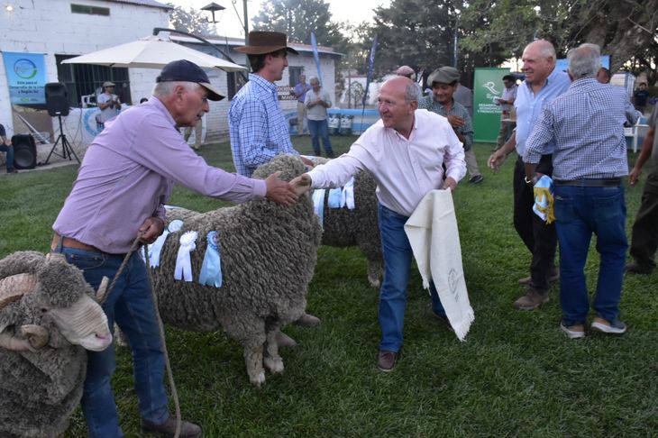 El robo de lana y animales genera desaz&oacute;n entre los productores ovinos de cara a las nuevas exposiciones.