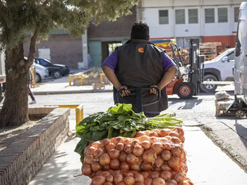 Horario verano MCN: lunes a viernes, 6-11 hs, para frescura garantizada. Foto: gobierno de Neuquén Horario verano MCN: lunes a viernes, 6-11 hs, para frescura garantizada. Foto: gobierno de Neuquén