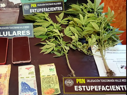 Durante el procedimiento se incautaron 300 dosis de cocaína y dos kilos de marihuana en distintos formatos. Durante el procedimiento se incautaron 300 dosis de cocaína y dos kilos de marihuana en distintos formatos.
