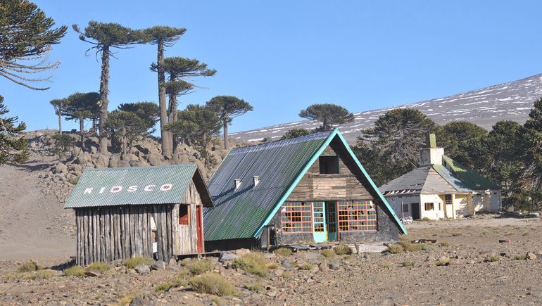 Esta semana licitarán el Parque de Nieve Primeros Pinos