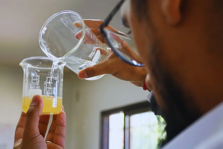 Durante la temporada 2023-2024 hubo una acumulación de calor post-reposo invernal. Foto: INTA Durante la temporada 2023-2024 hubo una acumulación de calor post-reposo invernal. Foto: INTA