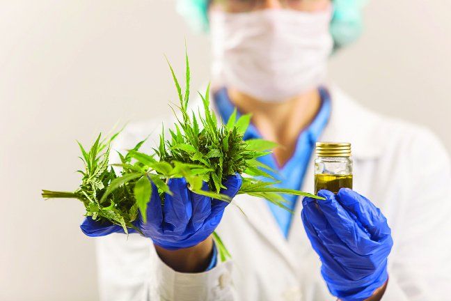 El Gobierno oficializó por decreto la reglamentación de la ley de uso medicinal del cannabis.