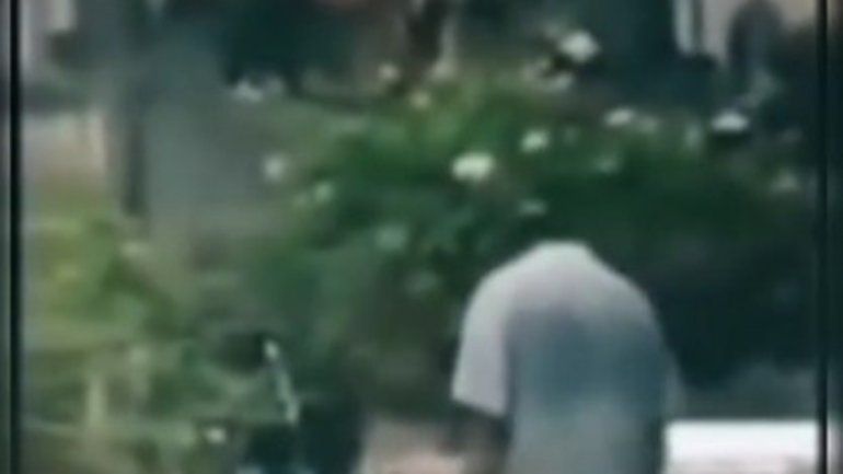 El video sorprende a todos en TikTok