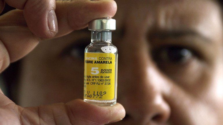 Fiebre amarilla: habrá vacunas nacionales