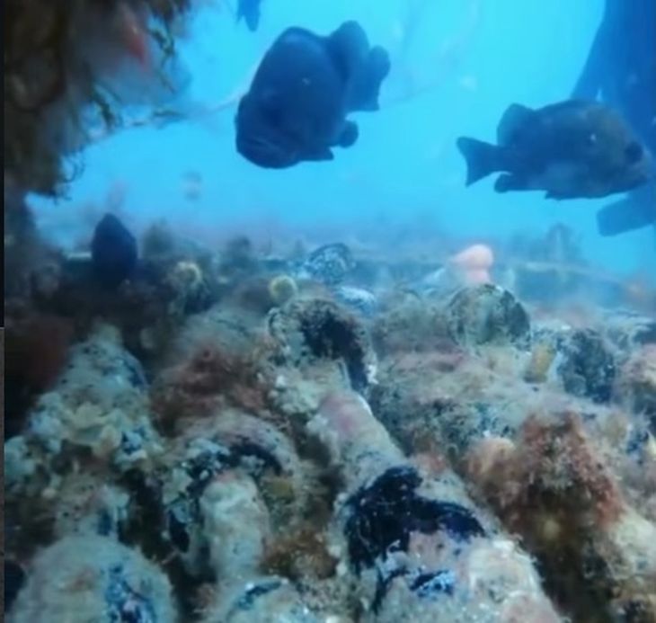 El suave vaivén de las mareas y la presión del agua aceleraron la guarda de los vinos regionales. Foto: @wapisa El suave vaivén de las mareas y la presión del agua aceleraron la guarda de los vinos regionales. Foto: @wapisa