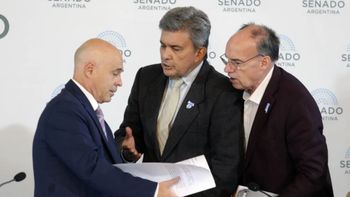 Plenario de comisiones que analiza la Ley Bases en el salón Azul del Senado. Foto NA: DAMIAN DOPACIO. Plenario de comisiones que analiza la Ley Bases en el salón Azul del Senado. Foto NA: DAMIAN DOPACIO.