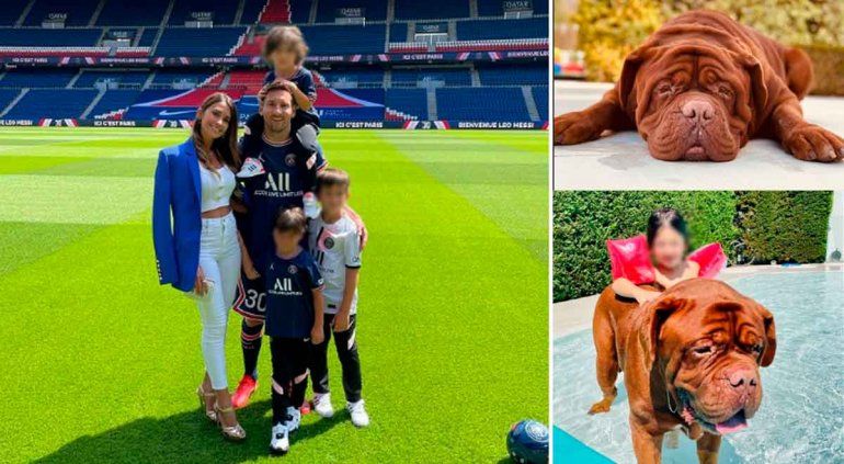 Messi, Antonela y sus hijos, en un tierno reencuentro con sus perros