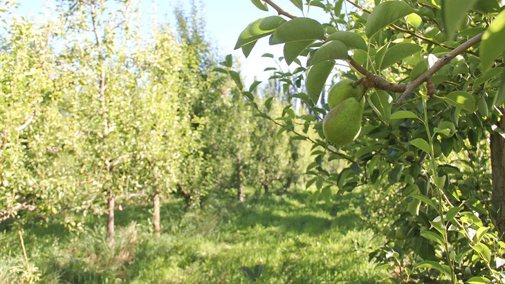Biotango utiliza bigdata e inteligencia artificial para predecir eventos climáticos y tomar decisiones informadas. Biotango utiliza bigdata e inteligencia artificial para predecir eventos climáticos y tomar decisiones informadas.