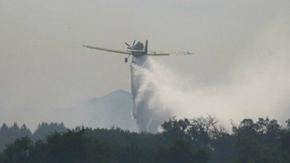 Sería intencional el incendio forestal próximo a la Rural