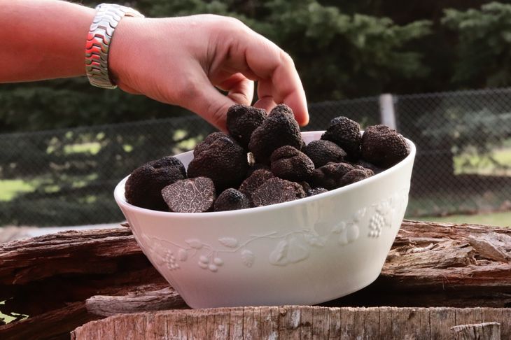 Las trufas, “el diamante negro” de la cocina por su exquisito sabor y sutil tono al paladar. Las trufas, “el diamante negro” de la cocina por su exquisito sabor y sutil tono al paladar.