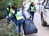 Toda la basura que se saca de uno de los lugares más concurriodos de Neuquén.