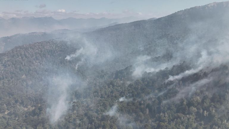 Incendios forestales: diputado neuquino quiere declarar zona de desastre a la Patagonia