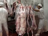Patagonia: Grupo Benetton pasa a controlar el 70% de carne ovina