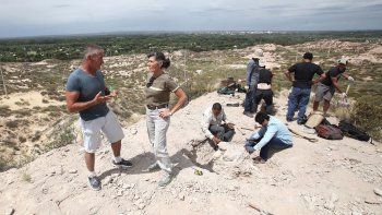 hallaron restos de un titanosaurio en la barda hallaron restos de un titanosaurio en la barda