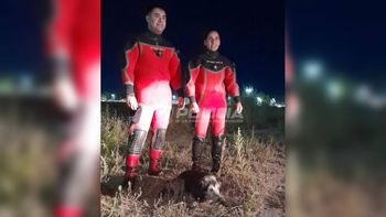 El operativo demandó varias horas de trabajo. El operativo demandó varias horas de trabajo.