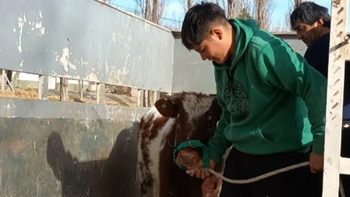 estudiantes de las epea ya se vinculan con circuitos productivos de la provincia estudiantes de las epea ya se vinculan con circuitos productivos de la provincia