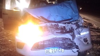 Un auto y una camioneta petrolera chocaron animales sueltos en la Ruta 51