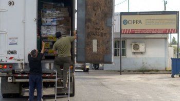 cippa.jpg