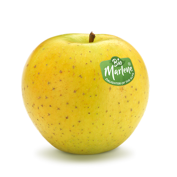 El progenitor de la manzana amarilla resistente al cambio climático es la GoldRush Apple Review. El progenitor de la manzana amarilla resistente al cambio climático es la GoldRush Apple Review.