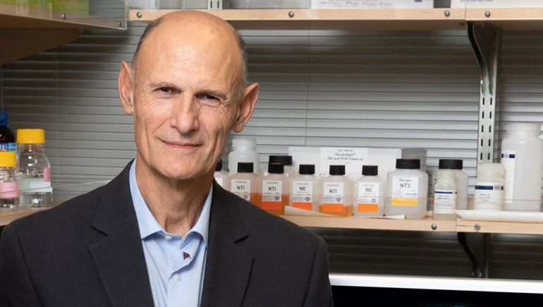 Crean un embrión que permitiría reproducir cualquier órgano