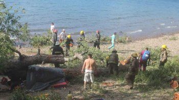 SMA mueren dos chicos aplastados por un arbol (2).jpg
