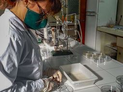 Claudia Azpilicueta, en el LASAF. Claudia Azpilicueta, en el LASAF.