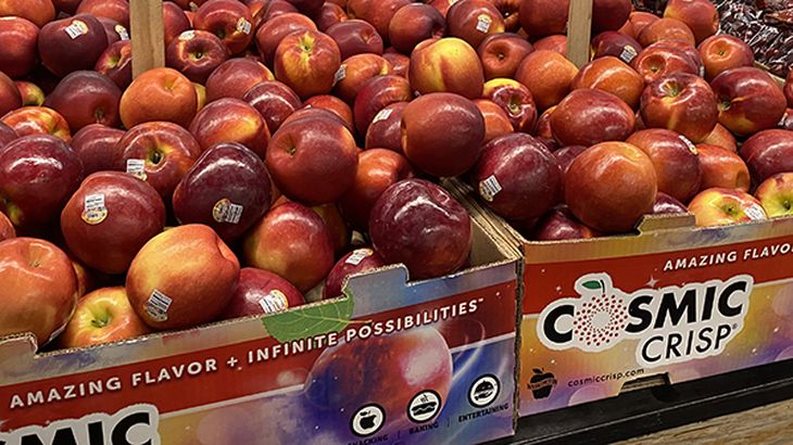 Salida de la Washington State University, la variedad WA38, comercializada como Cosmic Crisp®, se convirtió en la manzana mas plantada en los últimos 4 años en Estados Unidos. Salida de la Washington State University, la variedad WA38, comercializada como Cosmic Crisp®, se convirtió en la manzana mas plantada en los últimos 4 años en Estados Unidos.
