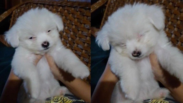 El clip no deja de sumar visualizaciones en YouTube