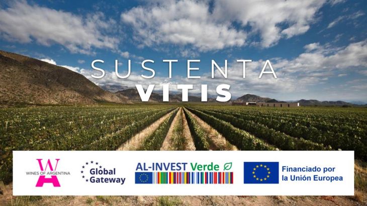 Sustenta vitis, el nombre del programa que impulsa la transición de las bodegas. Foto: gentileza WofA. Sustenta vitis, el nombre del programa que impulsa la transición de las bodegas. Foto: gentileza WofA.