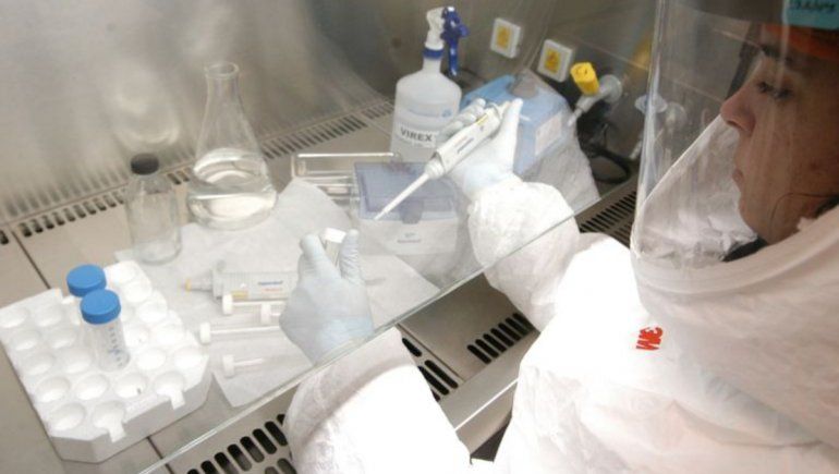 Covid-19: detectaron una variante en Uruguay