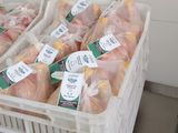 Distintas áreas de gobierno, acompañaron a las autoridades locales desde el financiamiento de obras hasta el registro de la marca “Paso Aguerre”. Foto: gentileza Producción.