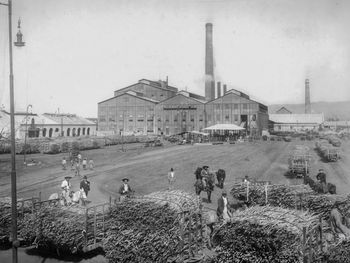 Una familia, 140.000 hectáreas y 7.000 empleos: así se construye un siglo de agroindustria. Foto: @comunidadledesma