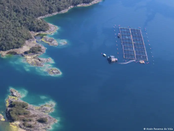 Las jaulas salmoneras en los fiordos patagónicos concentran miles de peces en espacios reducidos. Foto: DW Las jaulas salmoneras en los fiordos patagónicos concentran miles de peces en espacios reducidos. Foto: DW