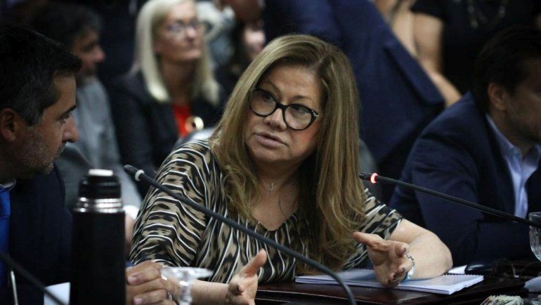 Camaño defendió su voto funcional al oficialismo