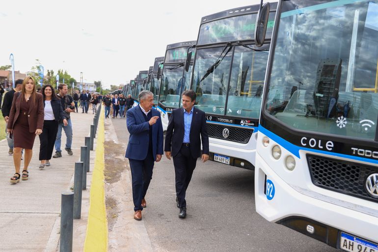 El sistema COLE se amplía con 36 unidades nuevas y más líneas nocturnas: cuáles se suman