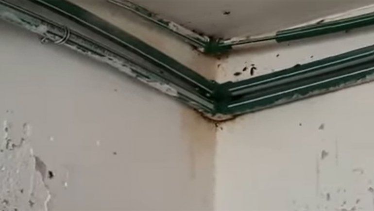 Hospital de Cutral Co: denuncian que hay cucarachas y pérdida de gas en la cocina