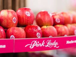 nuevas variedades (i): el rol en la actividad nuevas variedades (i): el rol en la actividad