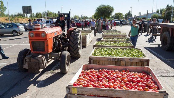Peras y manzanas: extienden por un año la emergencia frutícola