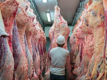 Exportaciones de carnes argentinas no se recuperan.