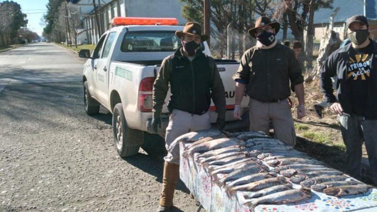 Secuestran 31 truchas por pesca indiscriminada: las donaron a un comedor