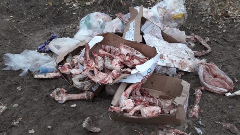 Plottier: encontraron carne podrida en la calle y buscan al responsable
