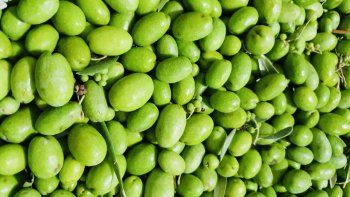 aceitunas vardes