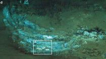 Científicos descubrieron el mayor cementerio de ballenas del mundo. Científicos descubrieron el mayor cementerio de ballenas del mundo.