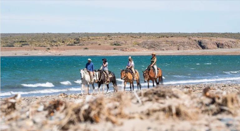 Las cabalgatas, el punto fuerte de Bahía Bustamante, en la Patagonia Azul. 