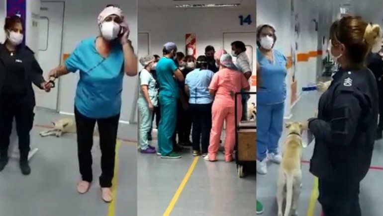 Insólito: le sacó las esposas a un detenido y se las puso a una enfermera