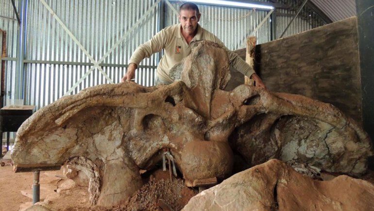 Uno de los dinosaurios más grandes y completos del mundo cumple 21 años