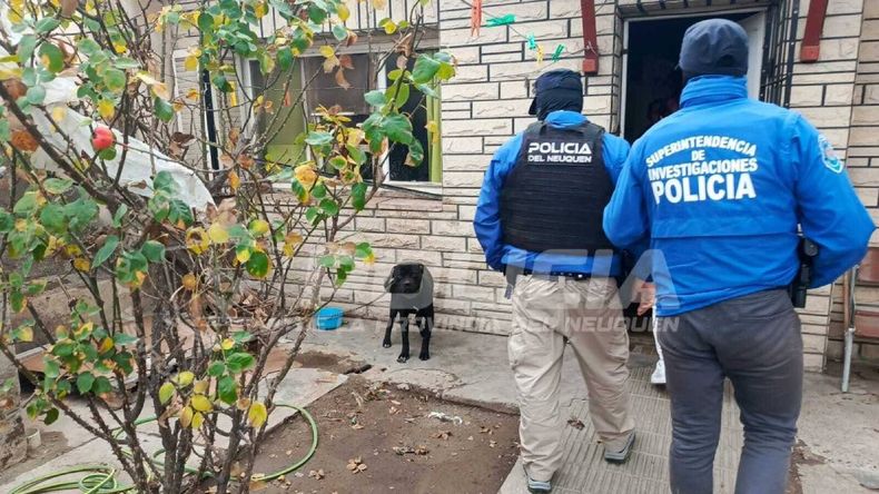 El rescate del perro se produjo por una denuncia en AMVOZ. | LM Neuquen El rescate del perro se produjo por una denuncia en AMVOZ.